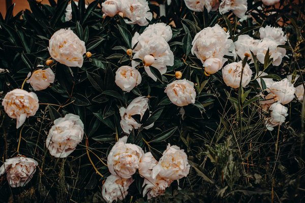 Comment profiter des smart grids chez soi avantages pratiques et retour d'expérience